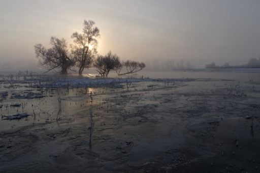 2021-01-22 / charlysouho
charlysouho [Paysages et éléments naturels]
