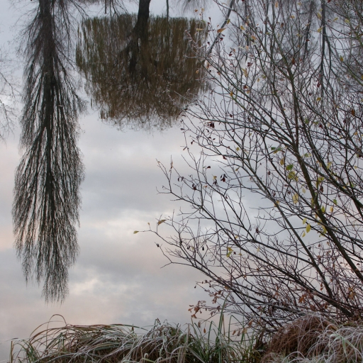 2021-11-27 / charlysouho
charlysouho [Paysages et éléments naturels]
