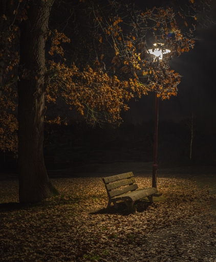 2021-12-18 / MIMO31
MIMO31 [Natures mortes, photos d'objets] 
