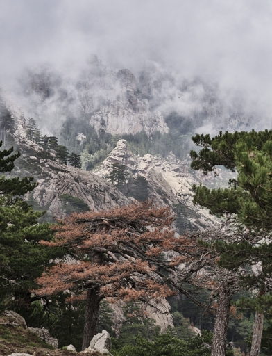 2022-11-05 / olilignan
olilignan [Paysages et éléments naturels]
