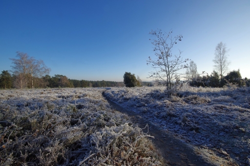 2022-12-17 / pilote14 
pilote14 [Paysages et éléments naturels]
