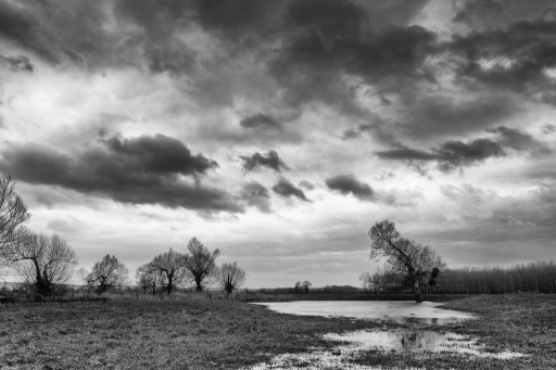 2023-02-11 / charlysouho
charlysouho [Paysages et éléments naturels]
