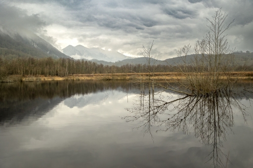 2023-02-18 / jagulian
jagulian [Paysages et éléments naturels]
