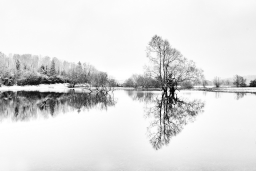 2023-12-02 / charlysouho
charlysouho [Paysages et éléments naturels]
