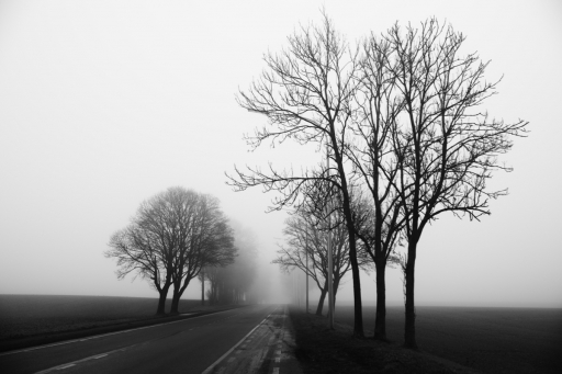 2020-08-13 / alfa_delta
alfa_delta [Paysages et éléments naturels]
