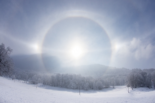 2021-02-15 / ASM
ASM : [Paysages et éléments naturels]
