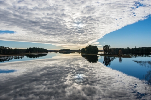 2023-01-21 / ASM
ASM [Paysages et éléments naturels]
