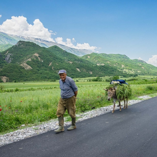 2023-04-01 / ASM
ASM [Portraits]
