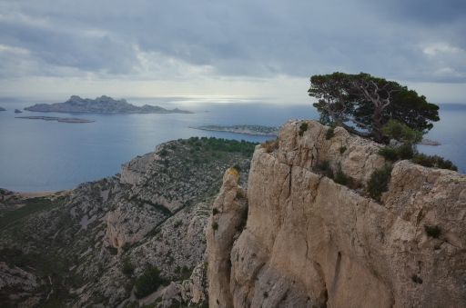 2024-01-06 / Dan2
Dan2 [Paysages et éléments naturels]
