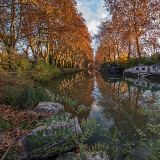 2021-11-20 / Pech_les oies
Pech_les oies [Paysages et éléments naturels]
