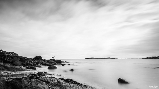 2020-03-11 / Daenelyn
