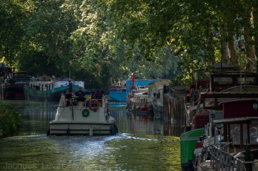 2021-09-09 / Pech_les oies
Pech_les oies [Paysages et éléments naturels]

