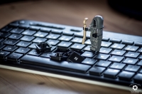 Nom du fichier=181112104656503960.jpg
Taille du fichier=305Ko
Dimensions : 1280x848
Ajouté le : 12 Novembre 2018 181112104656503960.jpg