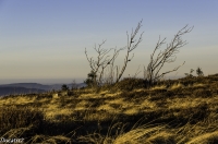 Nom du fichier=18111505222721144415996913.jpg
Taille du fichier=406Ko
Dimensions : 1280x851
Ajouté le : 15 Novembre 2018 18111505222721144415996913.jpg