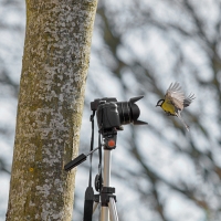 Nom du fichier=19022702563721379916137506.jpg
Taille du fichier=318Ko
Dimensions : 900x900
Ajouté le : 27 Février 2019 19022702563721379916137506.jpg