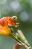 Nom du fichier=200622085221948735.jpg
Taille du fichier=259Ko
Dimensions : 601x900
Ajouté le : 22 Juin 2020 200622085221948735.jpg