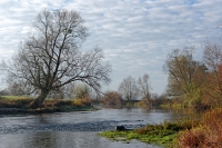 Nom du fichier=201127062910237911.jpg
Taille du fichier=447Ko
Dimensions : 1200x798
Ajouté le : 27 Novembre 2020 201127062910237911.jpg