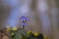 Nom du fichier=22022404171724958917807807.jpg
Taille du fichier=259Ko
Dimensions : 1200x801
Ajouté le : 24 Février 2022 22022404171724958917807807.jpg