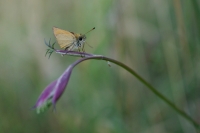 Nom du fichier=22070108343126366817940629.jpg
Taille du fichier=451Ko
Dimensions : 1280x855
Ajouté le : 01 Juillet 2022 22070108343126366817940629.jpg