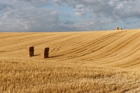 Nom du fichier=28643248837_85a8a62918_o.jpg
Taille du fichier=327Ko
Dimensions : 1024x681
Ajouté le : 20 Juillet 2018 28643248837_85a8a62918_o.jpg