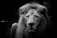 Nom du fichier=IMG47416.jpg
Taille du fichier=303Ko
Dimensions : 1280x853
Ajouté le : 25 Octobre 2018 IMG47416.jpg