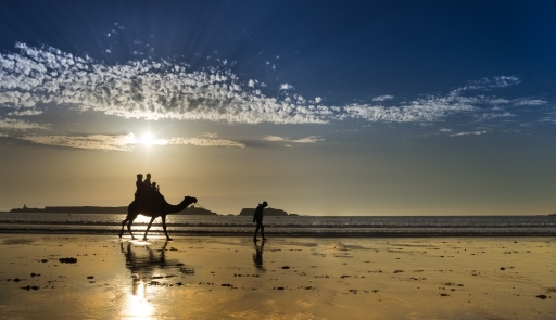 2014-11-02 / olilignan
olilignan " Maroc 2014 Essaouira "
