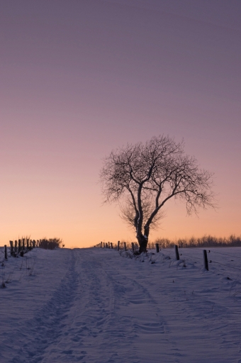 2015-02-10 / Hermes
Hermes [ Coucher / Lever de soleil ]
