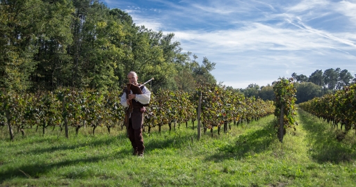 2014-11-17 / LeBernard
LeBernard [ Concerts / Spectacles ]
