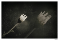 Nom du fichier=15142928546_f0b178e669_o.jpg
Taille du fichier=324Ko
Dimensions : 1000x679
Ajouté le : 07 Septembre 2014 15142928546_f0b178e669_o.jpg