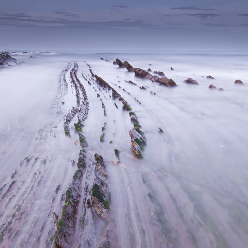 2020-02-06 / olilignan
olilignan dans [Paysages et éléments naturels]
