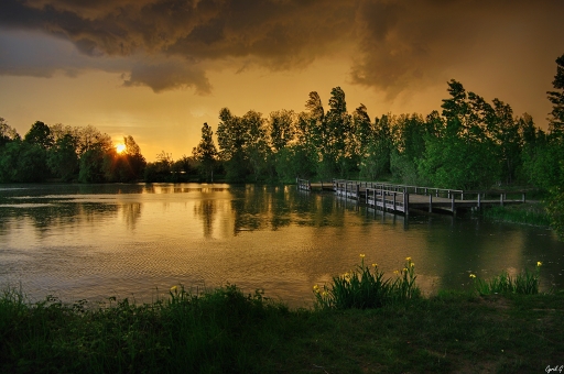 2019-11-14 / CarpoDingo
CarpoDingo dans [Paysages et éléments naturels]
