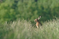 Nom du fichier=200624104701821504.jpg
Taille du fichier=210Ko
Dimensions : 1200x798
Ajouté le : 24 Juin 2020 200624104701821504.jpg