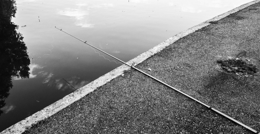 2022-11-04 / Pech_les oies
Pech_les oies [Natures mortes, photos d'objets]
