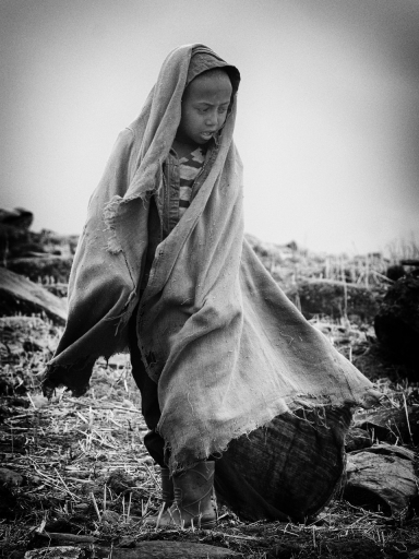 2020 - 05 - 07 / david81
david81 dans Portaits
