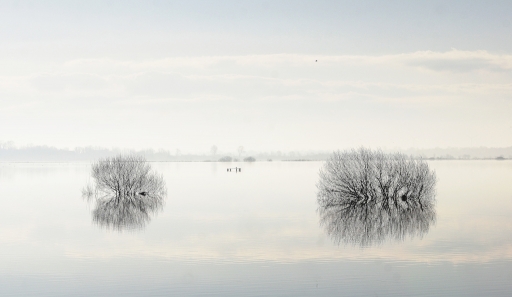 2021-01-15/Yuma
Yuma [Paysages et éléments naturels]
