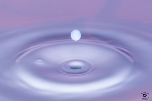 2021-02-05 / nicolas03
nicolas03 [Natures mortes, photos d'objets] 
