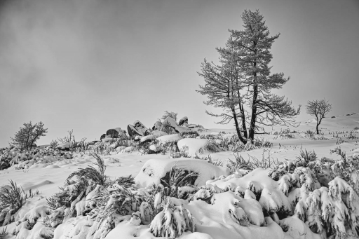 2023-08-25 / jagulian
jagulian [Paysages et éléments naturels]
