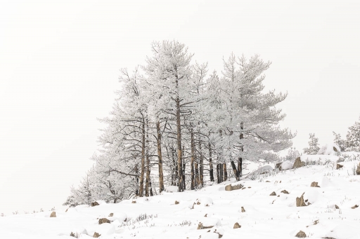 2023-10-13 / jagulian
jagulian [Vos séries : Blanc comme neige]
