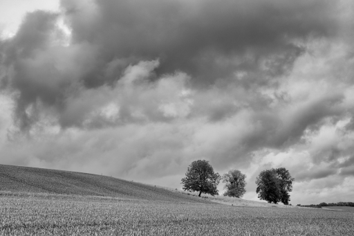 2024-05-24/ charlysouho
charlysouho [Paysages et éléments naturels]
