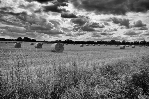 2023-07-21 / TOFTOF
TOFTOF [Paysages et éléments naturels]
