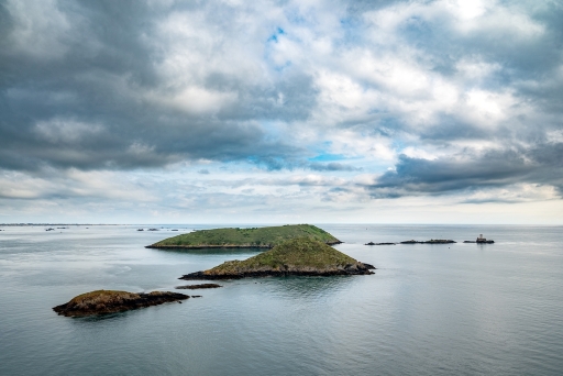 2024-05-03 / neosilencers
neosilencers [Paysages et éléments naturels]
