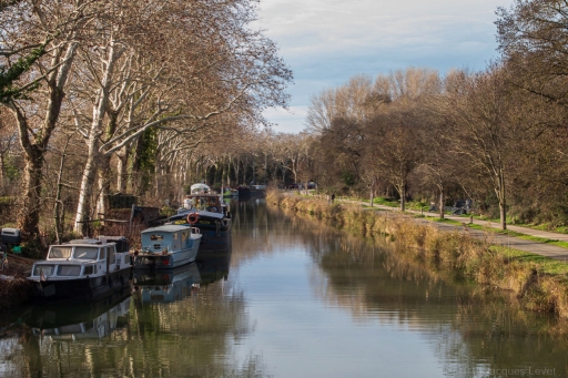 2024-01-04 / Pech_les oies
Pech_les oies [Paysages et éléments naturels]
