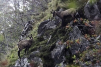 Nom du fichier=20091101215621144417018328.jpg
Taille du fichier=250Ko
Dimensions : 1000x665
Ajouté le : 11 Septembre 2020 20091101215621144417018328.jpg