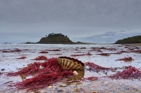 Nom du fichier=20112609232314510417145238.jpg
Taille du fichier=446Ko
Dimensions : 1200x798
Ajouté le : 26 Novembre 2020 20112609232314510417145238.jpg