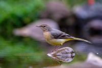 Nom du fichier=52375709536_fcc89fae9c_o.jpg
Taille du fichier=349Ko
Dimensions : 1280x853
Ajouté le : 22 Septembre 2022 52375709536_fcc89fae9c_o.jpg