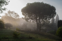 Nom du fichier=rcC5Kb-sans-titre-1-sur-1-3.jpg
Taille du fichier=417Ko
Dimensions : 1024x681
Ajouté le : 23 Octobre 2020 rcC5Kb-sans-titre-1-sur-1-3.jpg